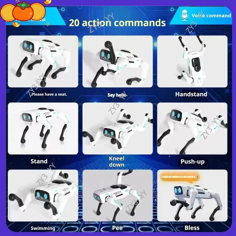 Leo 2026 New Ai Smart Remote C - Science Robotics incelemesi ve fiyatı